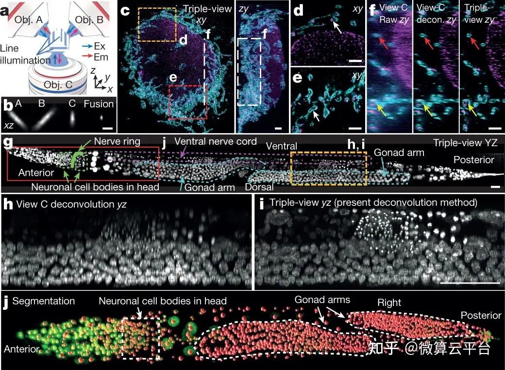 掌握各队强强碰撞与背靠背比赛节奏