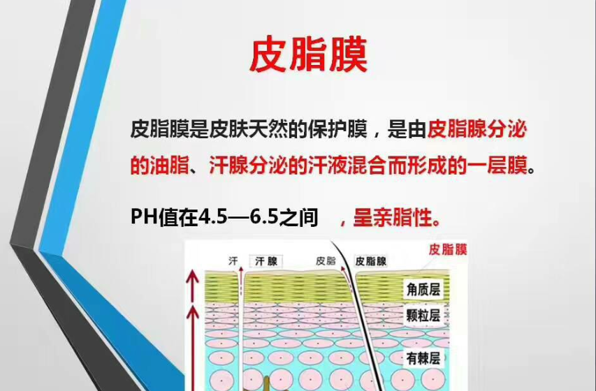 寶狄蘭護膚知識皮脂膜是皮膚的守護神