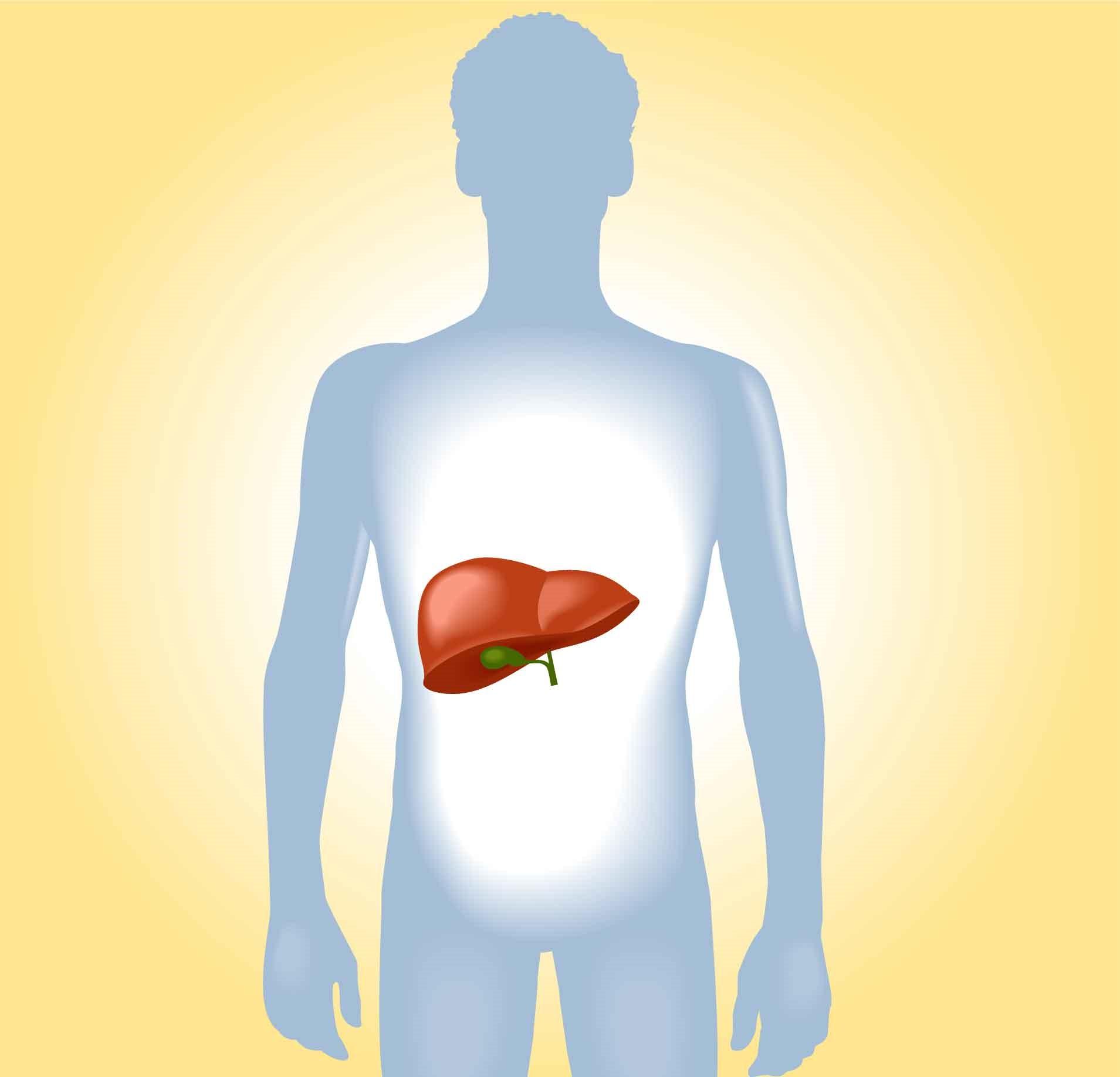 脂肪肝の症状: 脂肪肝疾患の症状: 皮膚のこれら 4 つの変化は肝硬変の警告サインである可能性があります - Nipponese