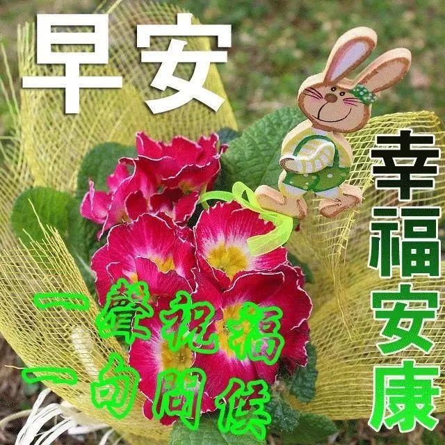 7月24日超级漂亮的早上好图片清新带字新的一天早上好阳光问候语祝福
