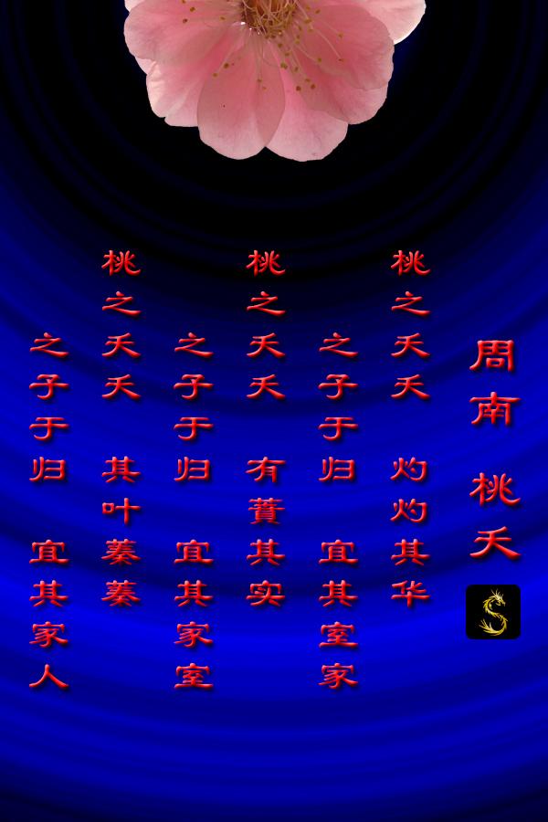 桃夭 周南 知乎 桃夭 周南 知乎