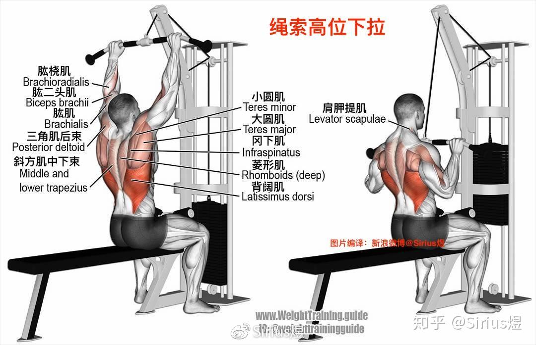 例如宽握的绳索高位下拉,悬垂举腿,仰卧举腿,俯身开肘飞鸟等