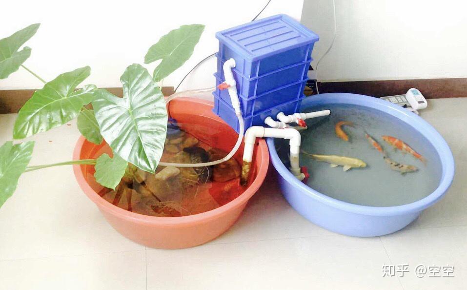 水桶怎样做鱼缸过滤
