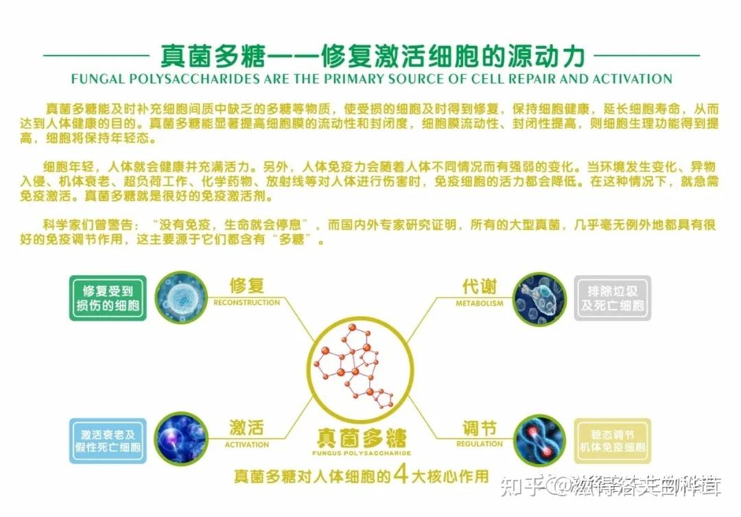 真菌多糖的骗局图片