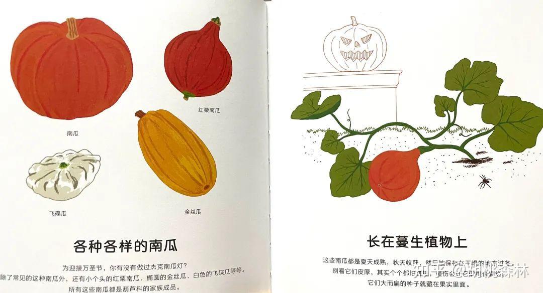 10本"超美味"食育绘本,拯救饭渣宝宝