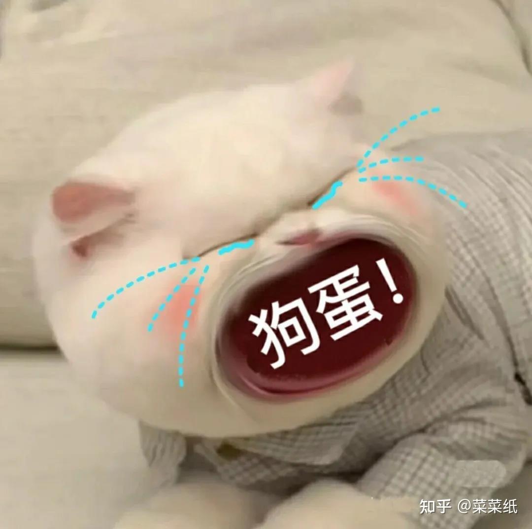 有没有大嘴猫咪的表情包