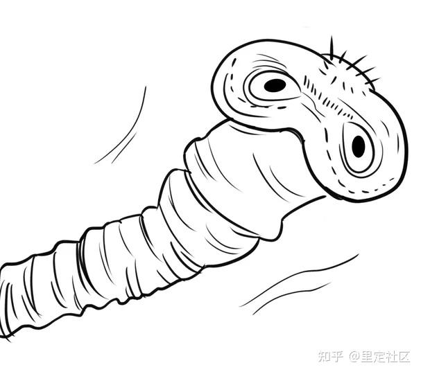 孩子光吃不长宝妈操碎了心究竟怎么破