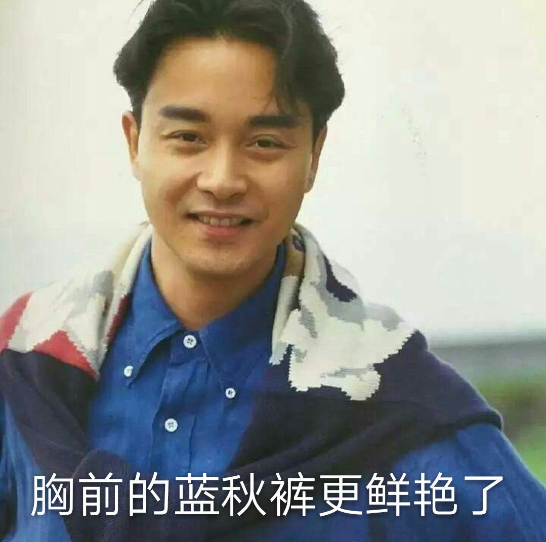 如何看待张国荣粉丝贬低其他明星的行为?