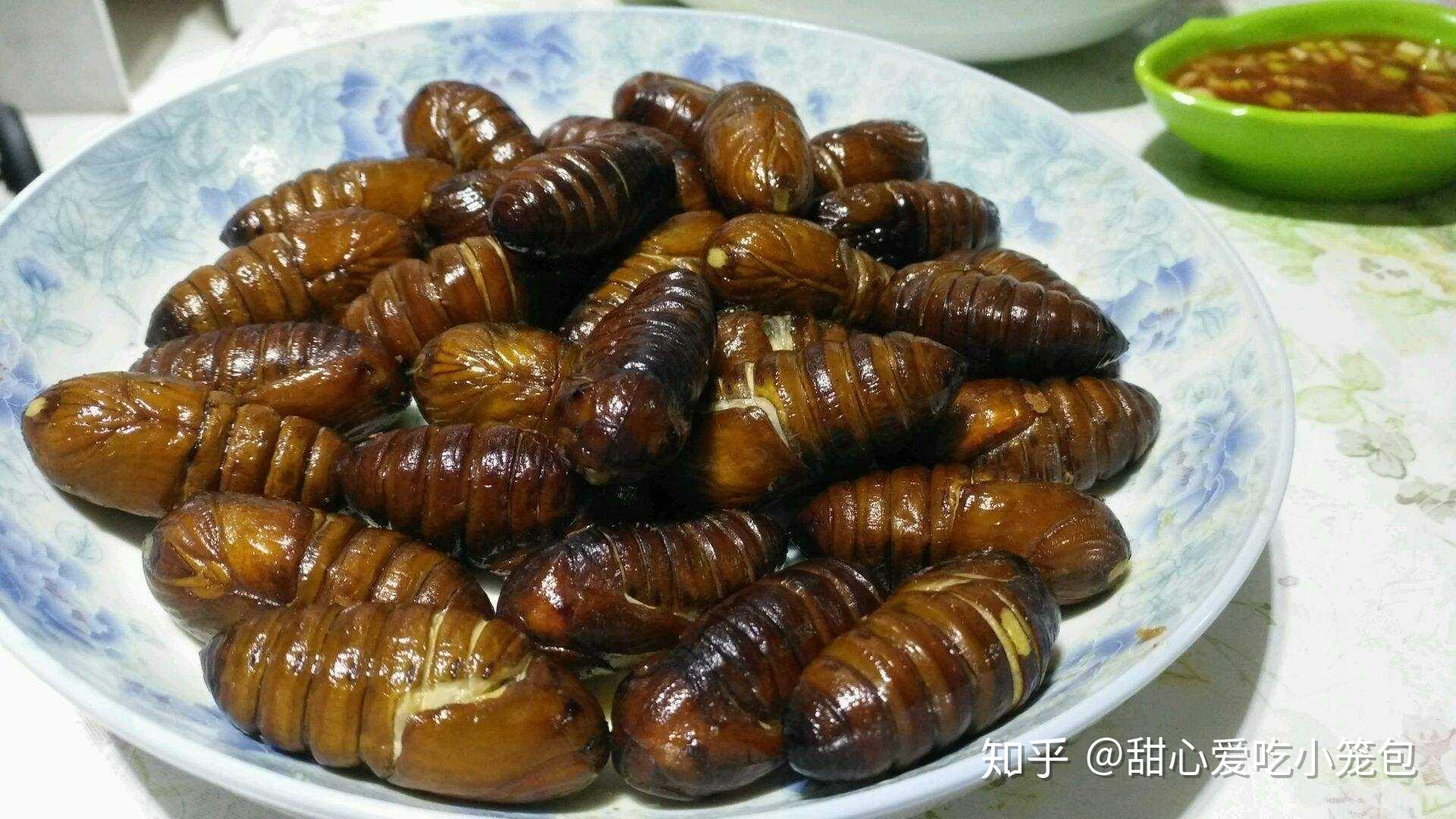 中国公认可以吃的8种虫子，有人拿它当饭吃，能咽下三种就是大神 - 哔哩哔哩