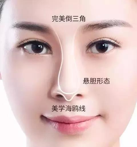 v2-f20ab076d55e380cab60d946cf747ed5_1440w.jpg?source=172ae18b