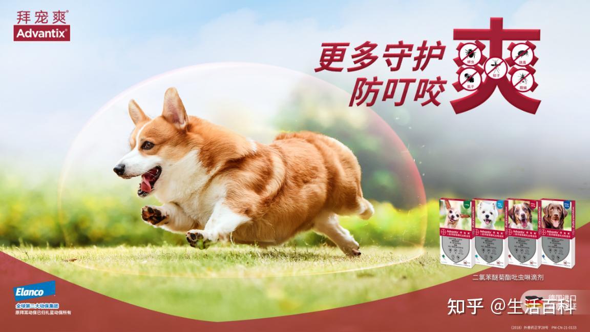 拜宠爽靠不靠谱驱虫范围广不广