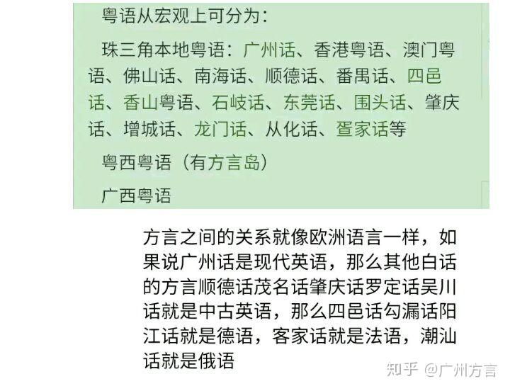 广东雷州猪公鑫简介图片