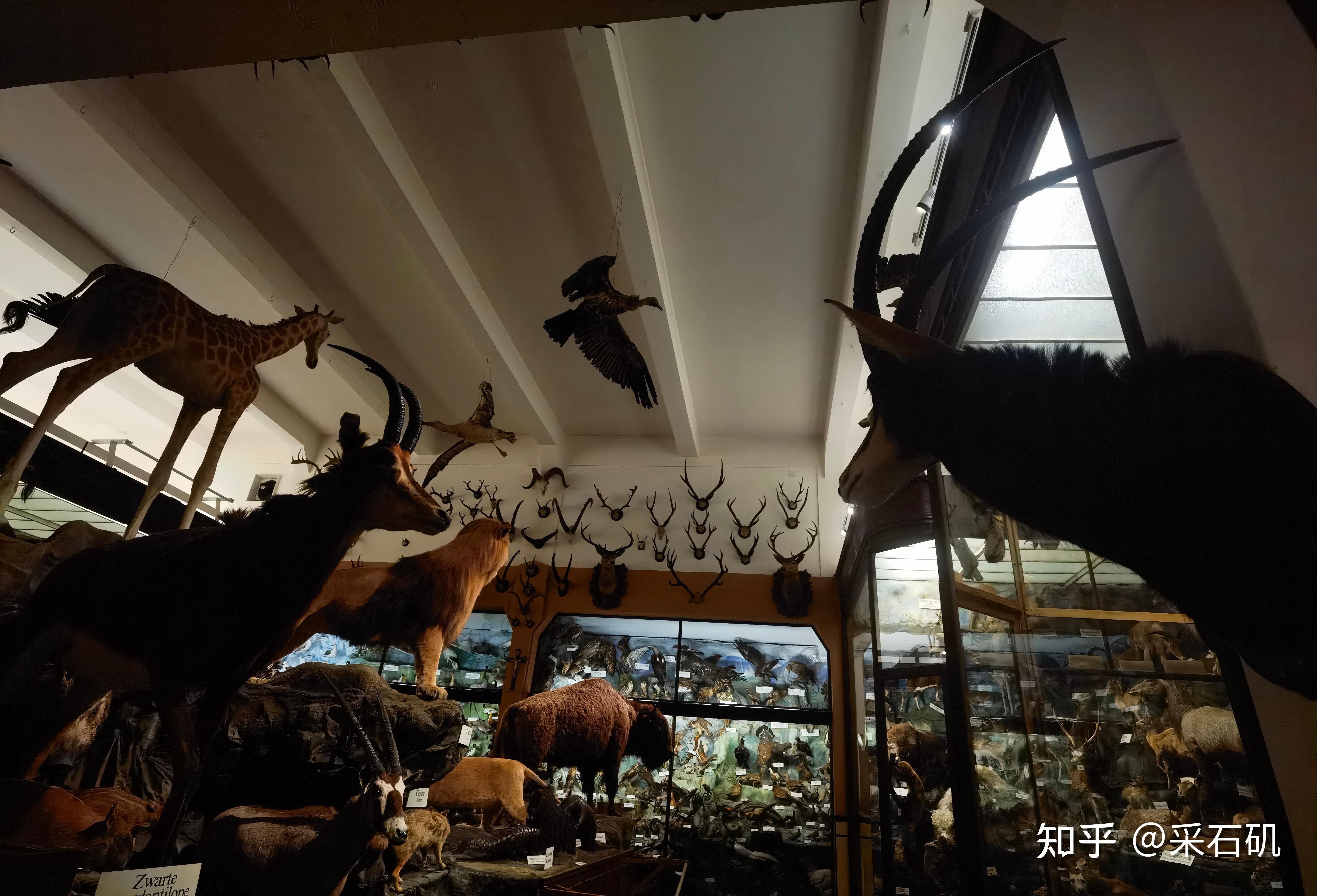 该博物馆主要展示与天主教传教士相关的展品,包括家庭用品,传教士照片