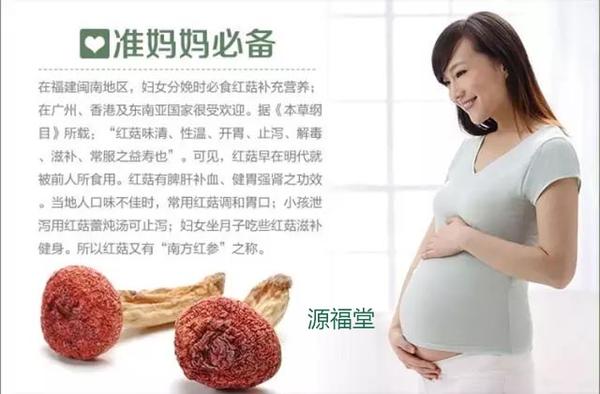 素食准妈妈、做月子女性必备养生汤丨红菇靓汤 知乎