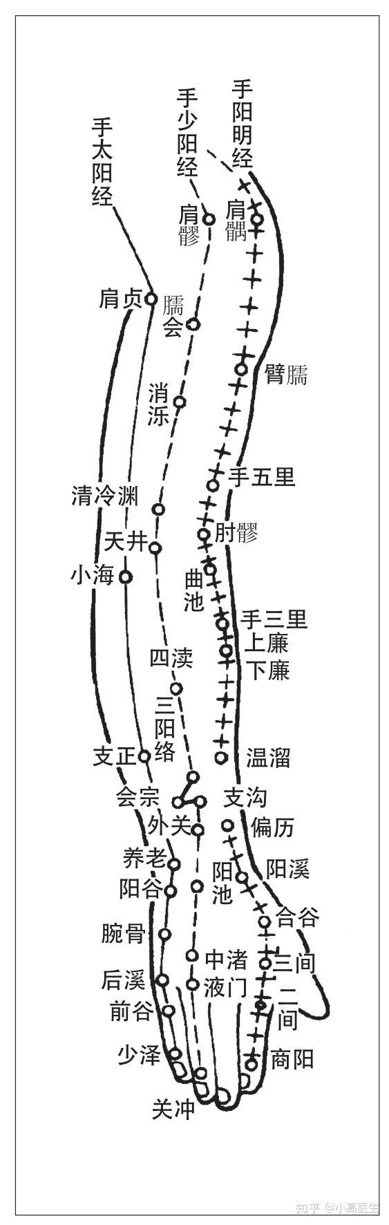 肩周炎针灸临床体会