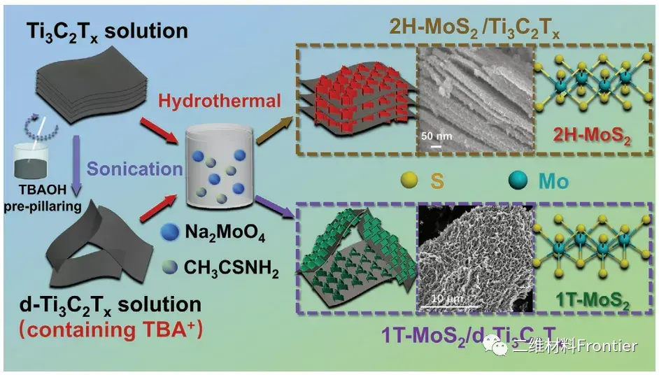 materials1tmos2納米片垂直耦合在二維mxene上用於高性能鋰離子電容器