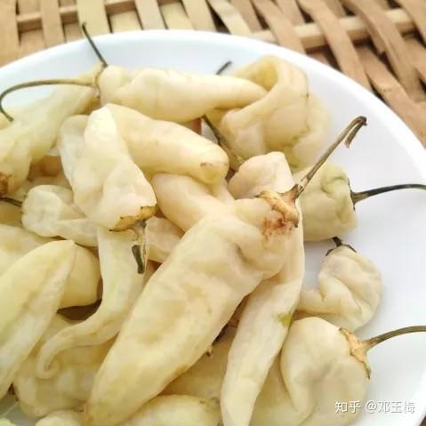 藕片怎样做又脆又白又好吃不辣 v2-f242369d4ab1adc40b8b2f9568a5adf5_r.jpg