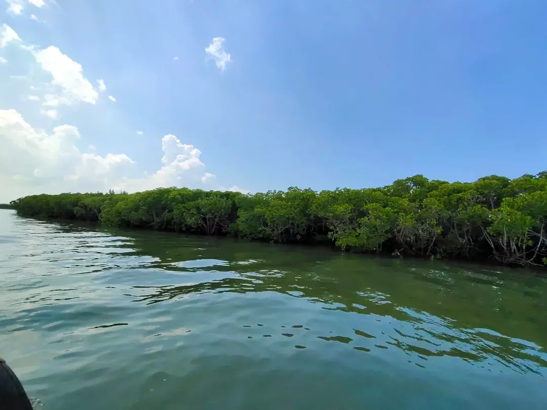 海南西线打卡攻略——玩转古渔村 - 知乎