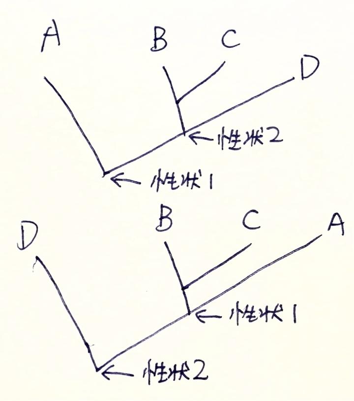 对单系群、并系群、复系群概念的深入理解 - 知乎