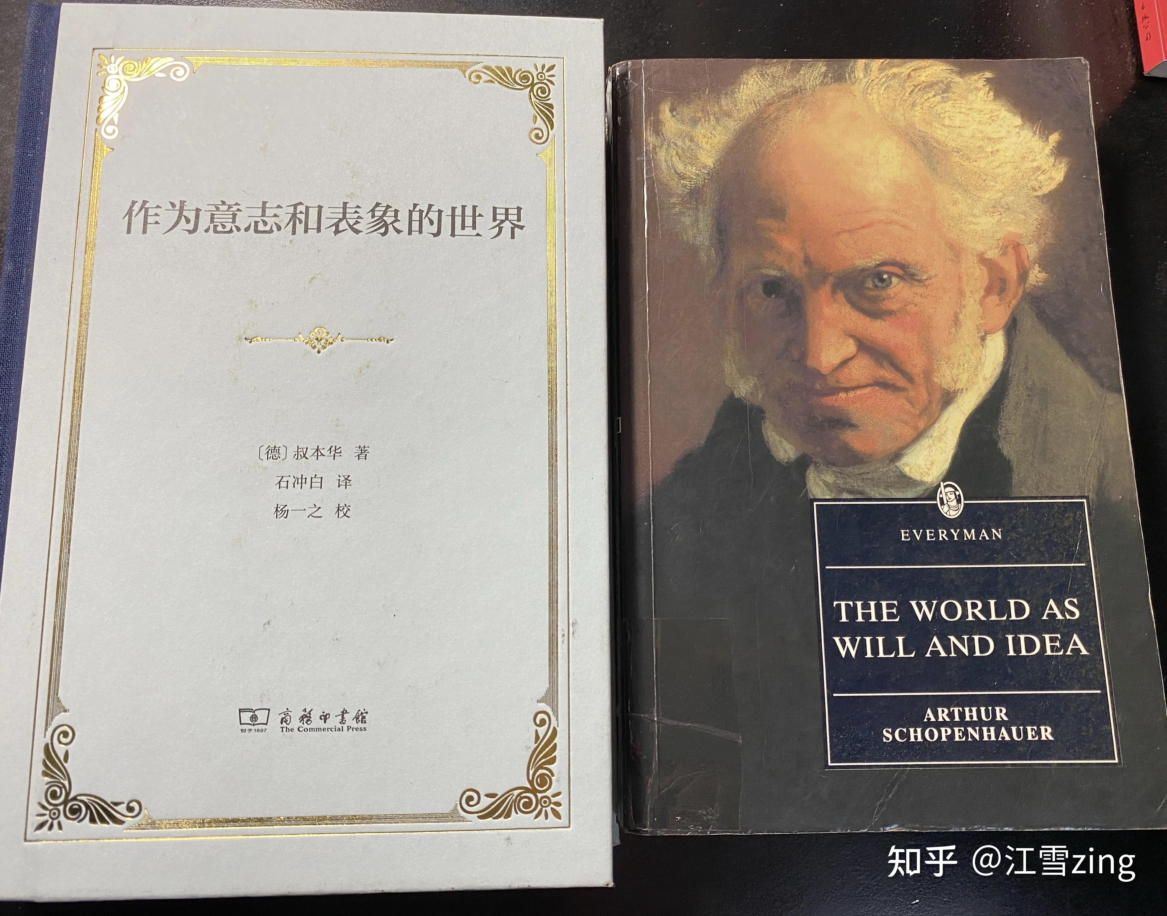 翻译《作为意志和表象的世界》第一卷各节附加标题(第一篇)