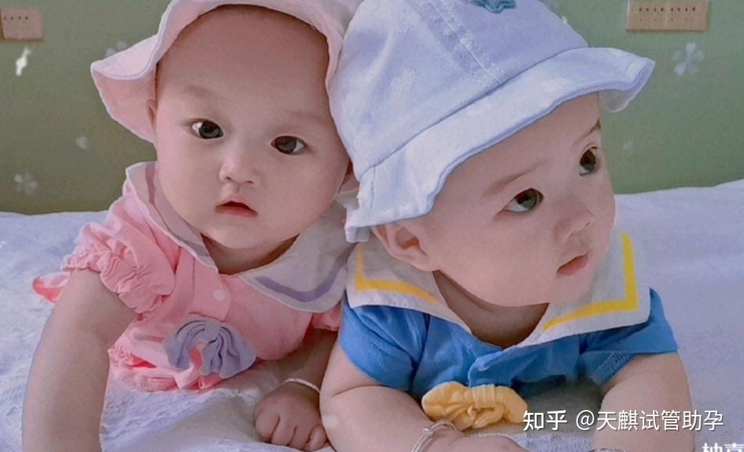 双胞胎照片大全婴儿图片