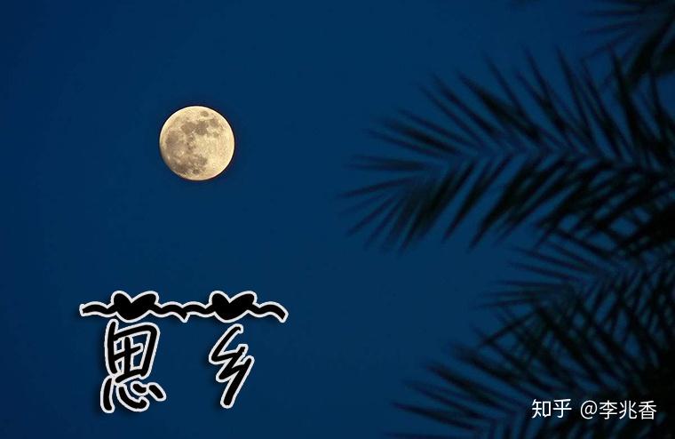 关于思乡的诗句诗词带白话文意思