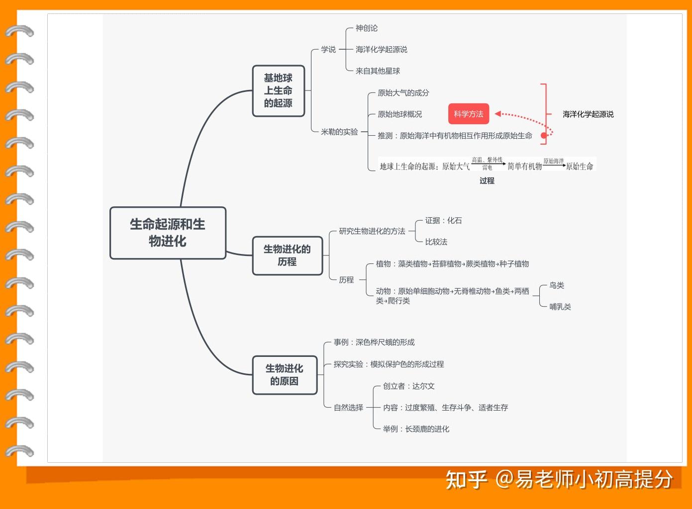 自然选择学说思维导图图片