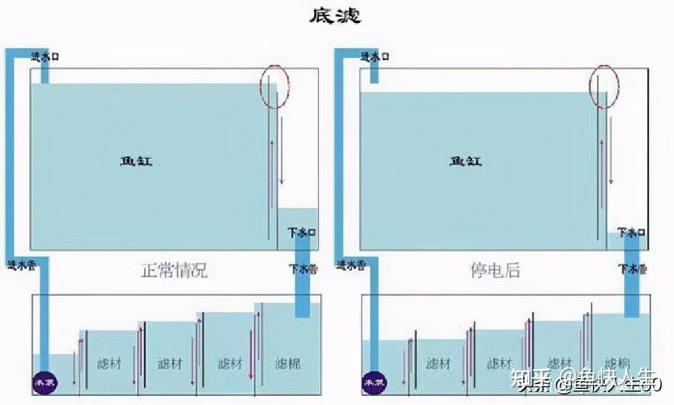 养鱼小秘诀如何选择过滤系统第七期底缸过滤侧滤背滤