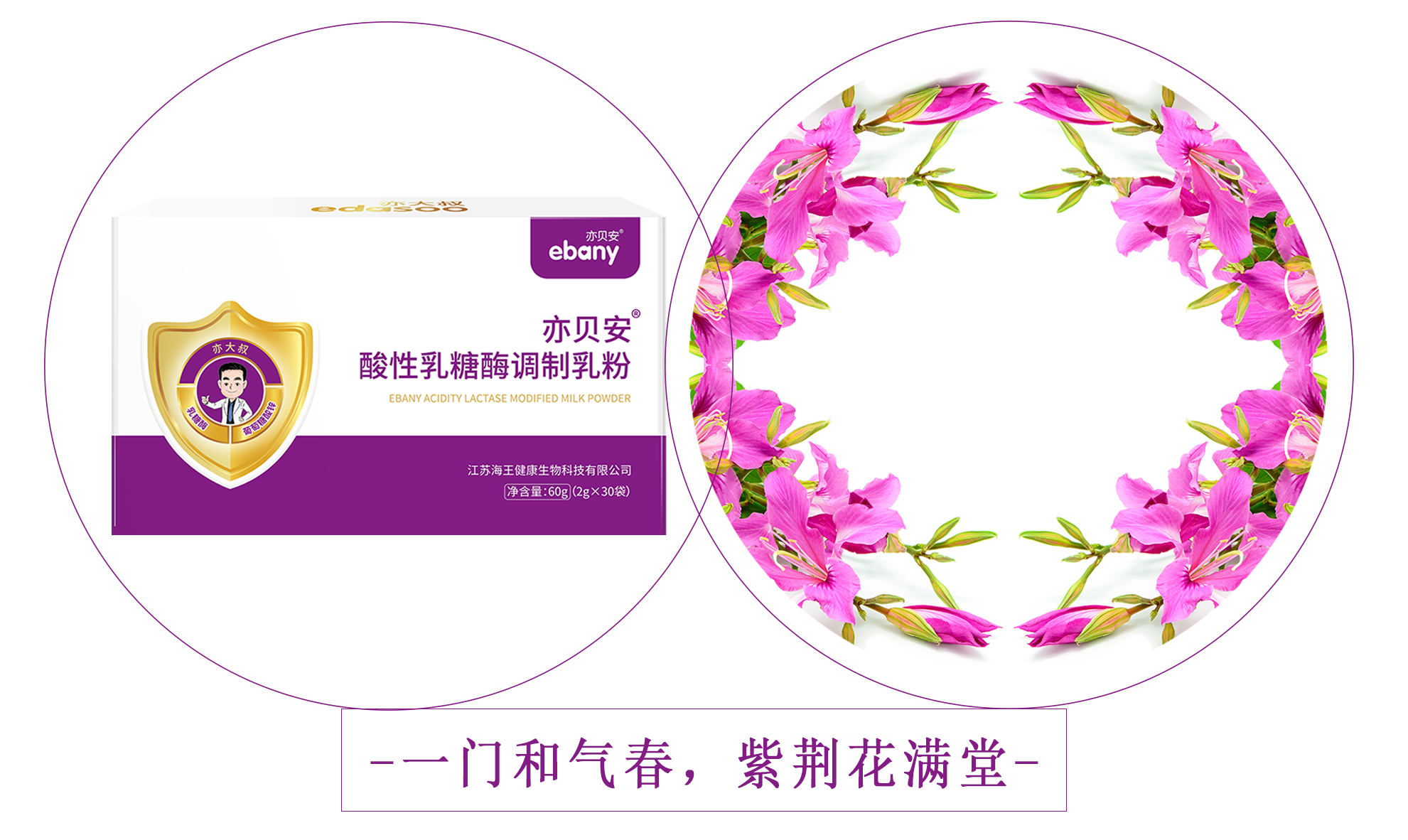 "亦大叔五朵金花"之亦贝安酸性乳糖酶,五行属"土",以紫荆花为象征