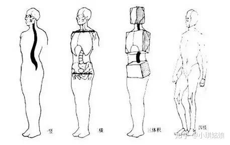 四肢"予以概括①,人体的基本结构理解和掌握人体的基本结构,比例,透视