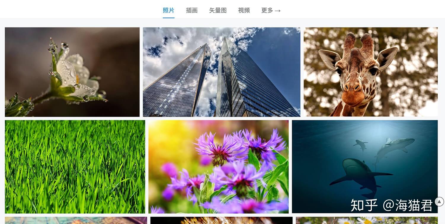 有哪些高质量的平面设计网站? - 知乎