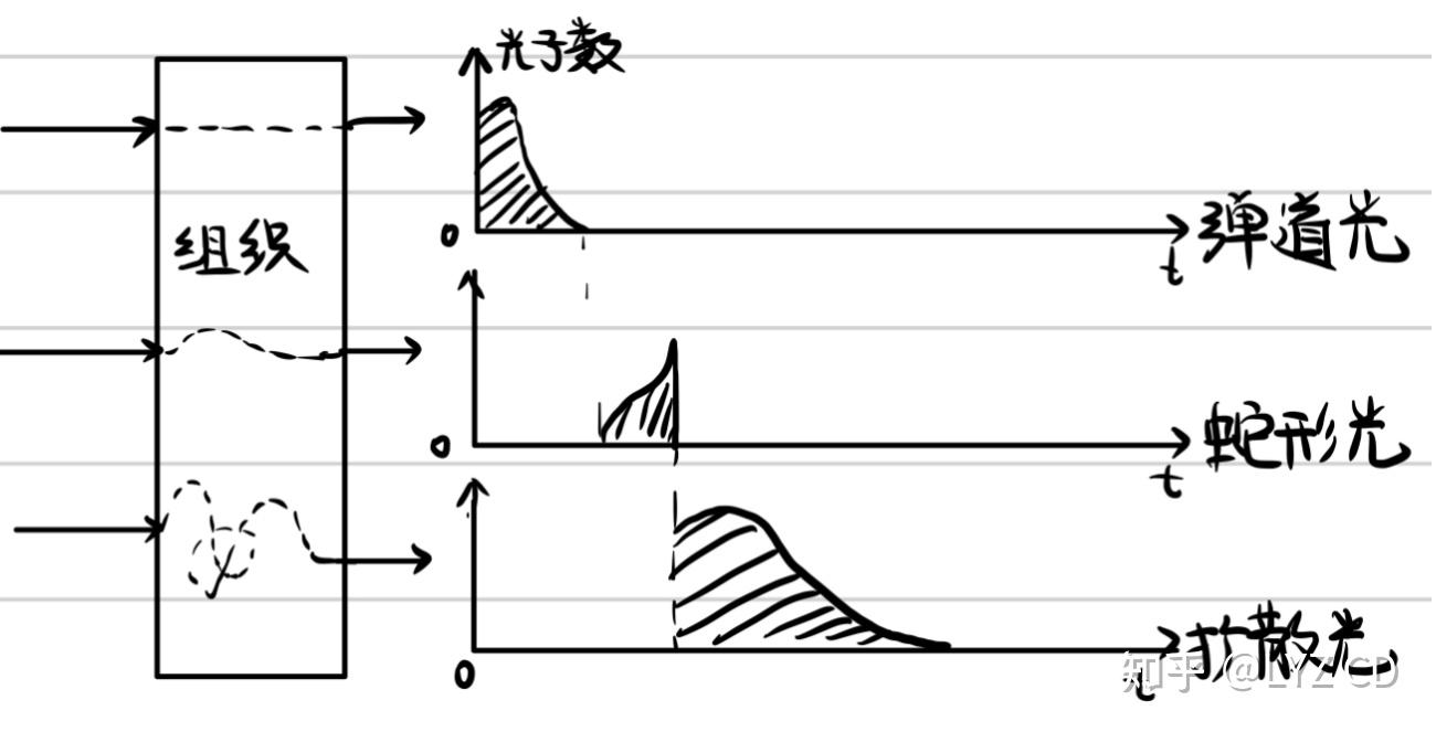 光的吸收示意图图片