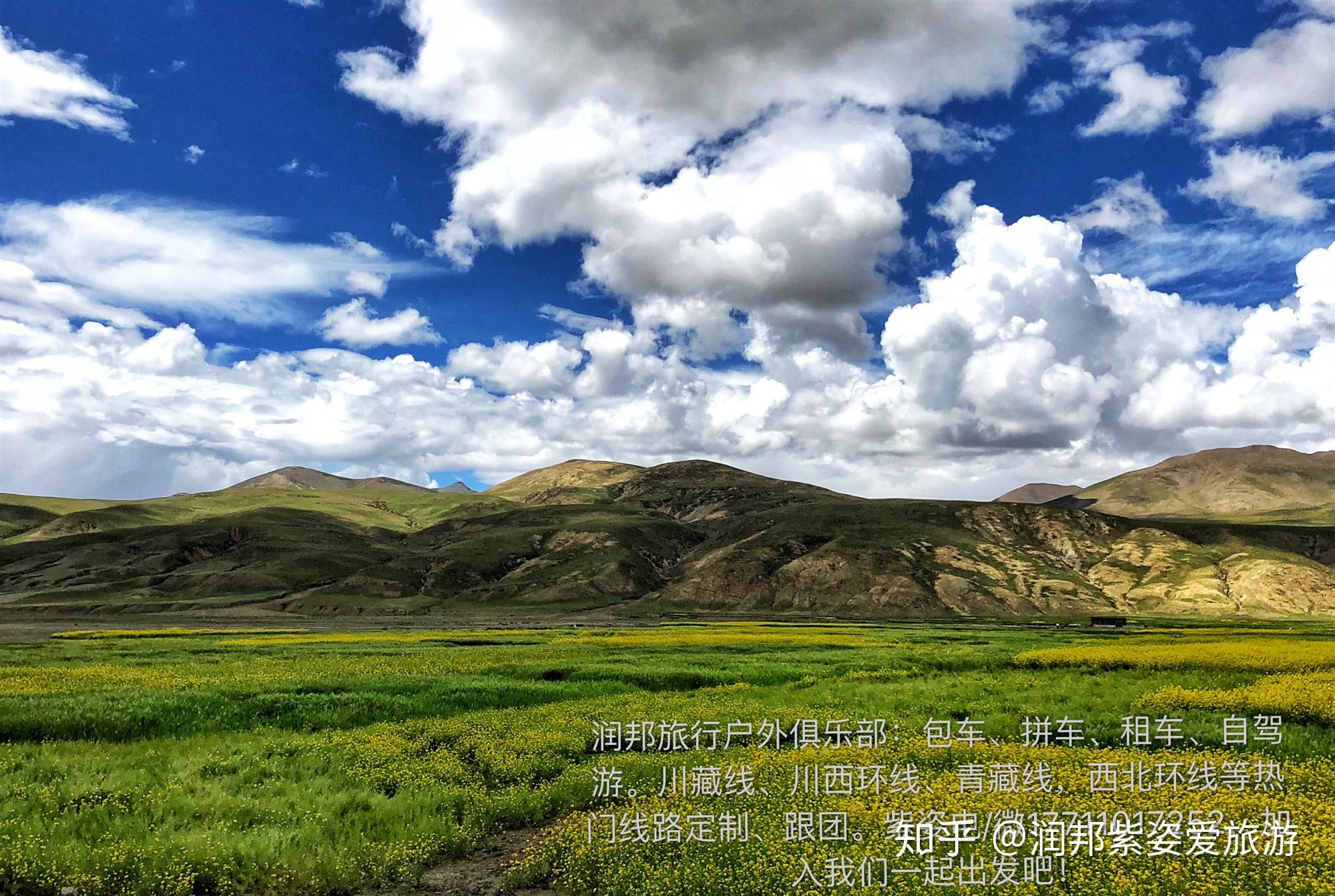 v2-f321491d86b277b903dea96cad83393d_r.jpg