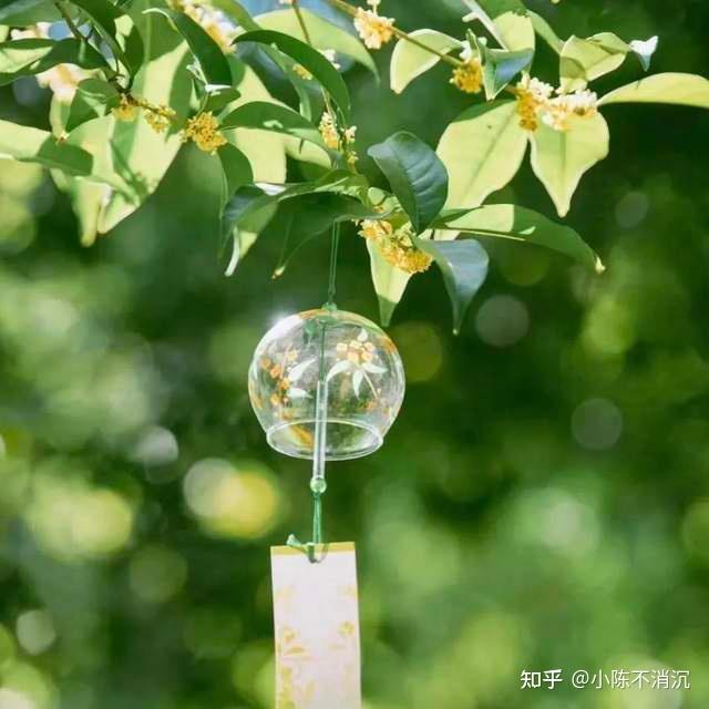 民国奇探评价在当代的价值与影响