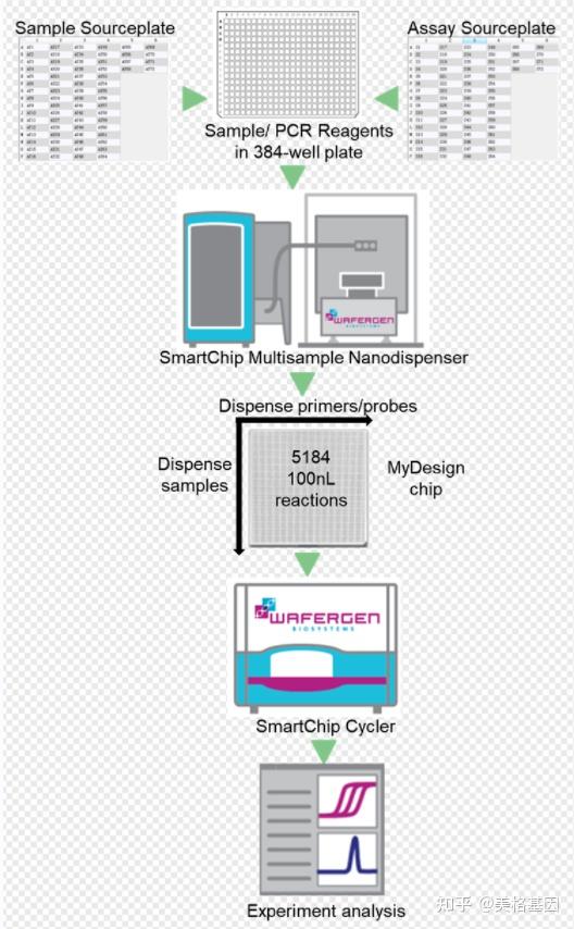 重金属抗性基因芯片(MRG Chip)检测来啦~ - 知乎