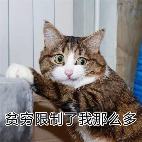 v2-f338d57371d0eb36200fd972fc5413ed_r.jpg