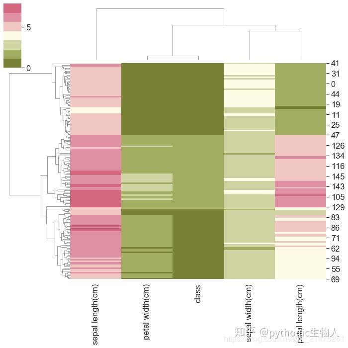 Python可视化matplotlib&seborn15-聚类热图clustermap（建议收藏） - 知乎