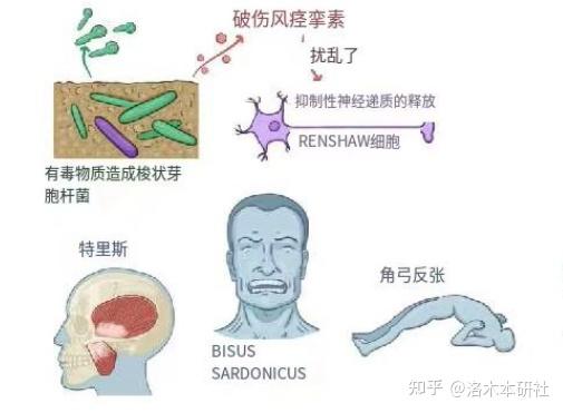 微生物基础 