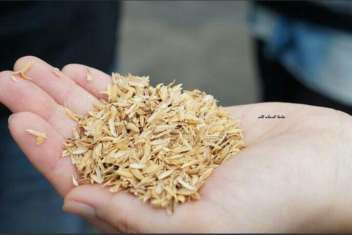 谢邀 不知道题主说的糠是什么糠,我们家乡说的糠就是稻谷的壳子,以下