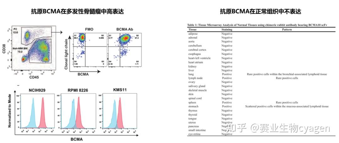 流式细胞术在CAR-T临床研发前的应用 - 知乎