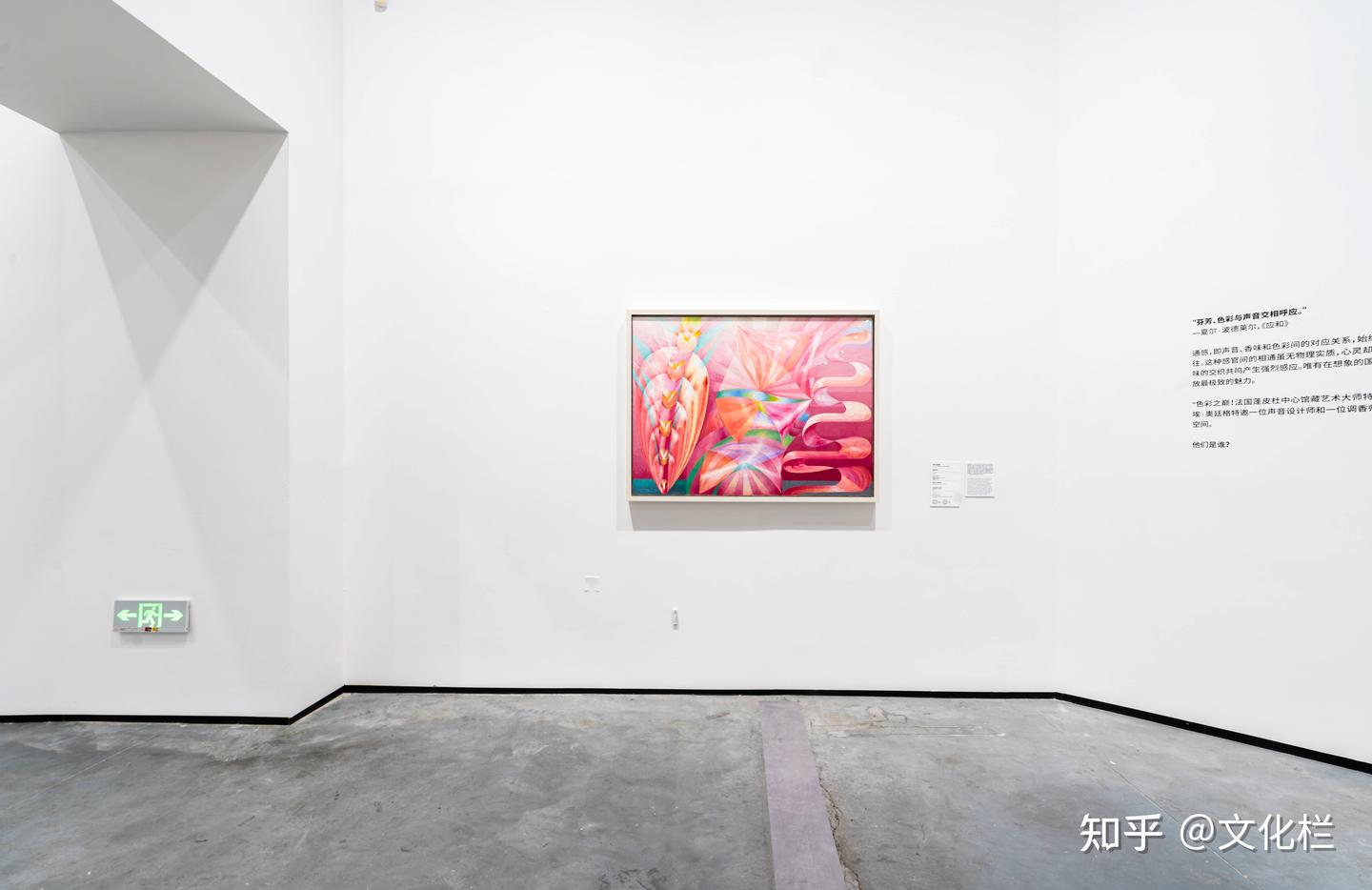 “色彩之巅！法国蓬皮杜中心馆藏艺术大师特展”在北京民生现代美术馆开幕 - 知乎