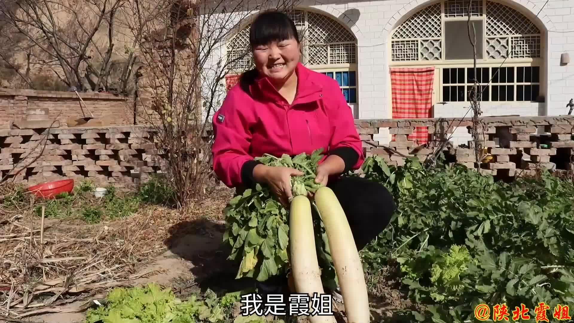 发布于 昨天 11:25 · 67 次播放美食美味农村陕北相关推荐 4:08爽脆