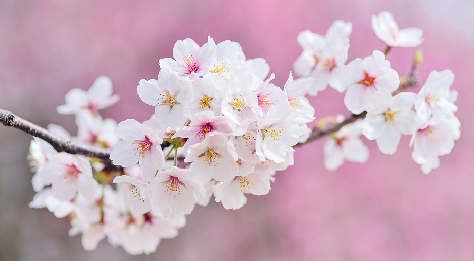 GRE长难句竟然是这样考的.