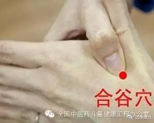 迎香穴的位置及图片 v2-f3621b9a64e2e333ca4721b2105af8c1_b.jpg