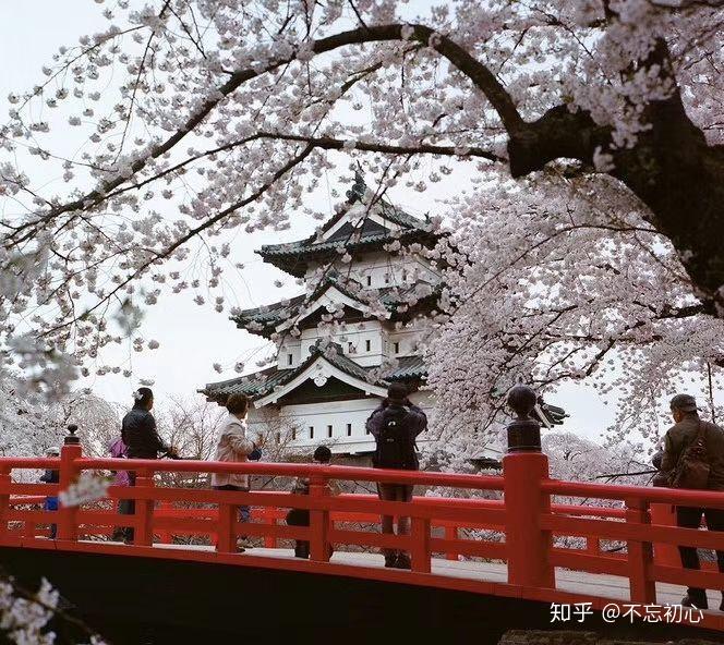 日本东北地区-清森县弘前公园 - 知乎