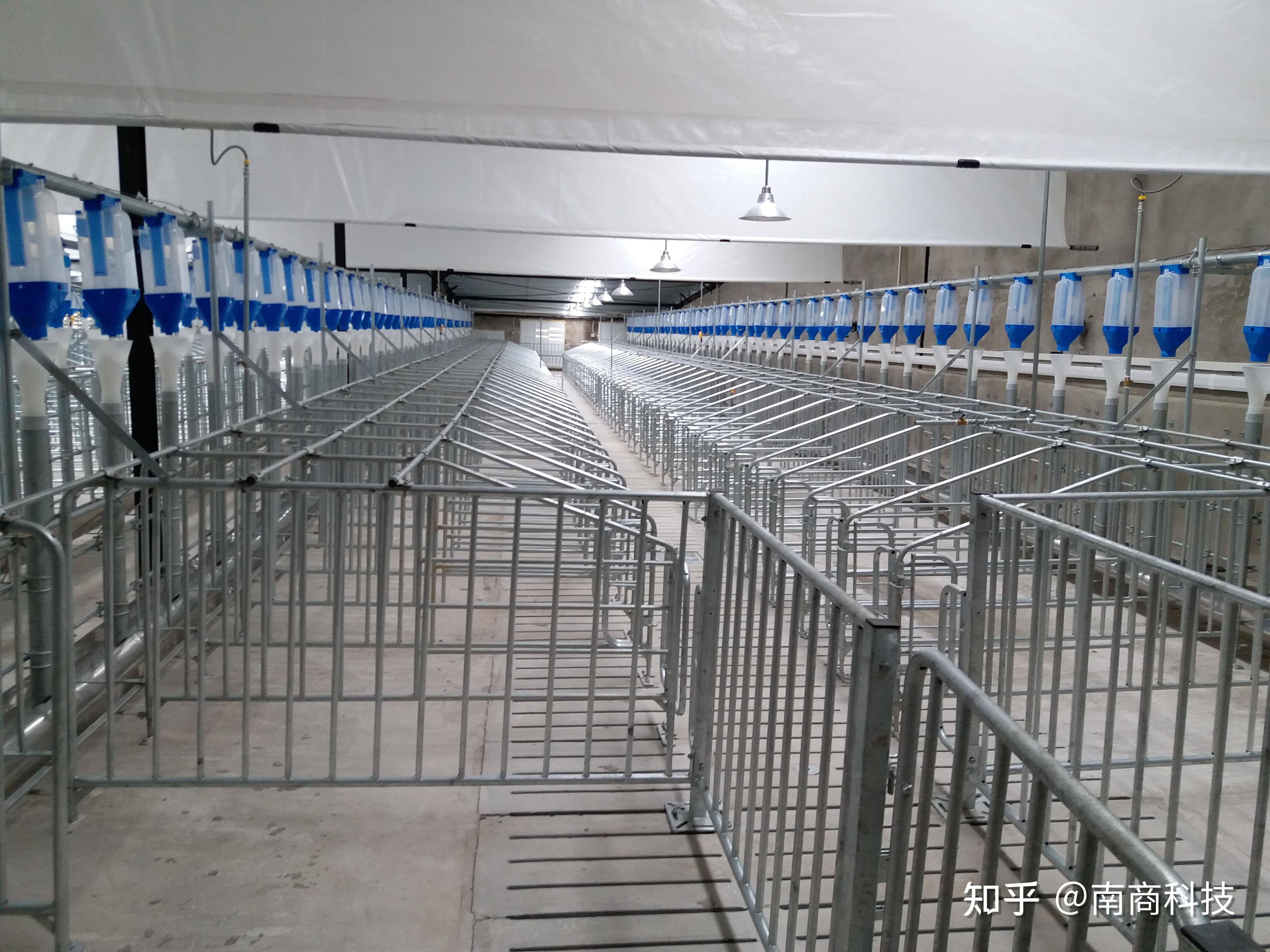现代化猪场建设无处下手?南商农科教你猪场建设三步走(二)