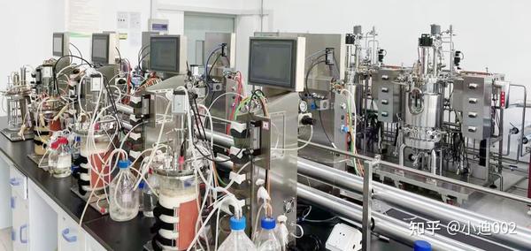 生物反应器技术开发 | 动力学集成的CFD模型用于DHA一步式发酵放大 - 知乎