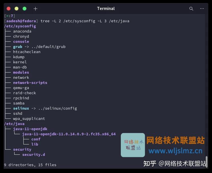 Tree 命令 如何限制Linux终端中tree命令递归文件列表的深度? - 知乎