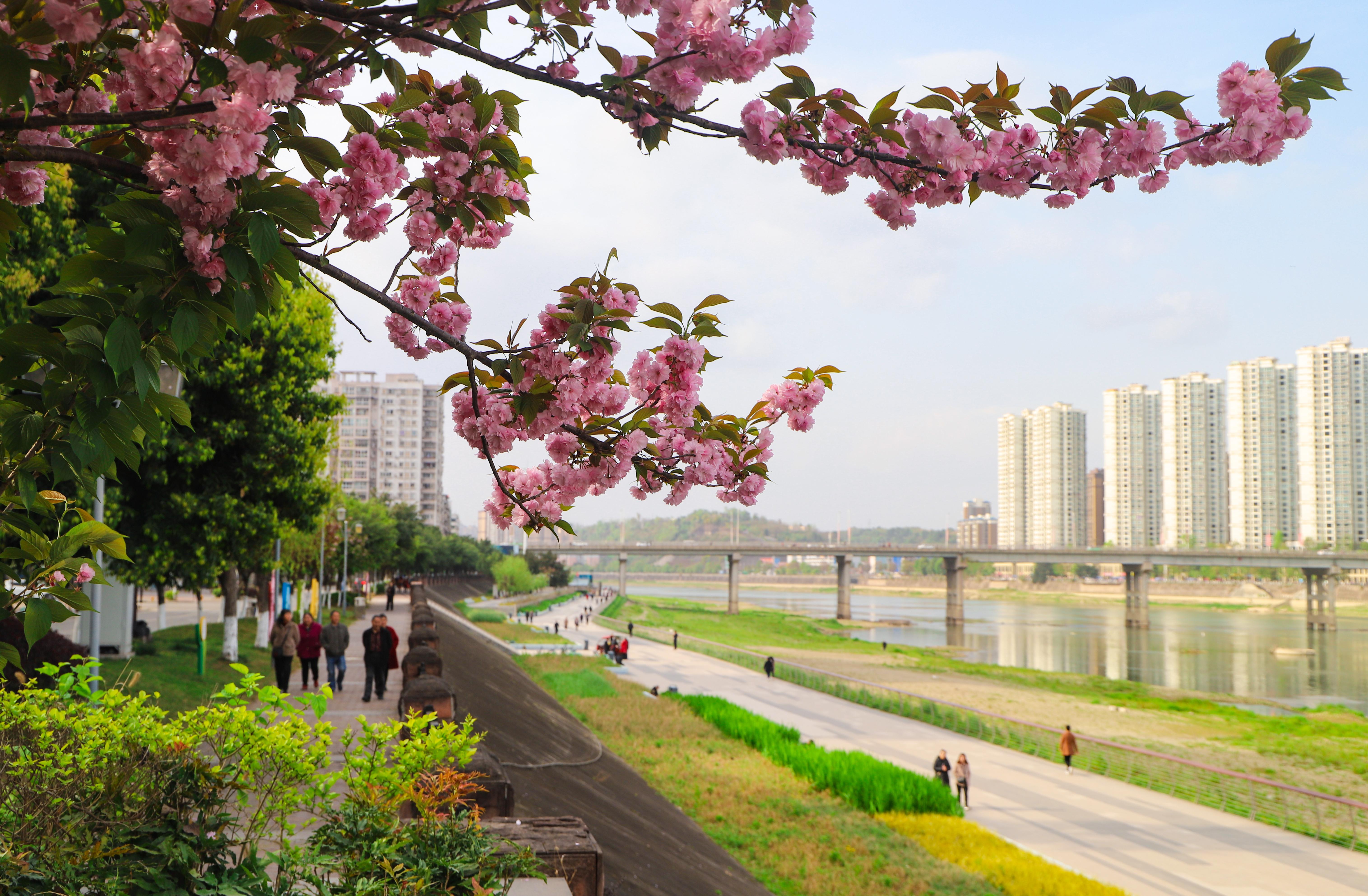 67简阳加快建设宜业宜居山水公园城市