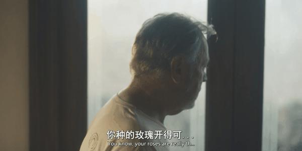 《绝命毒师》导演新作《过去的事》,惊悚、悬疑又烧脑!